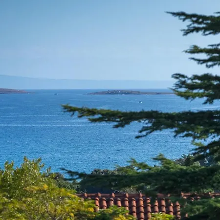 Paliska 3